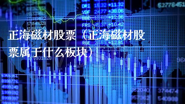 正海磁材股票（正海磁材股票属于什么板块）