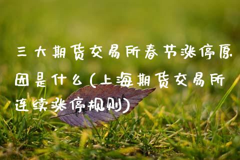 三大期货交易所春节涨停原因是什么(上海期货交易所连续涨停规则)_https://www.boyangwujin.com_内盘期货_第1张