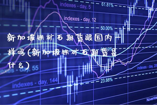 新加坡铁矿石期货跟国内一样吗(新加坡铁矿石期货是什么)