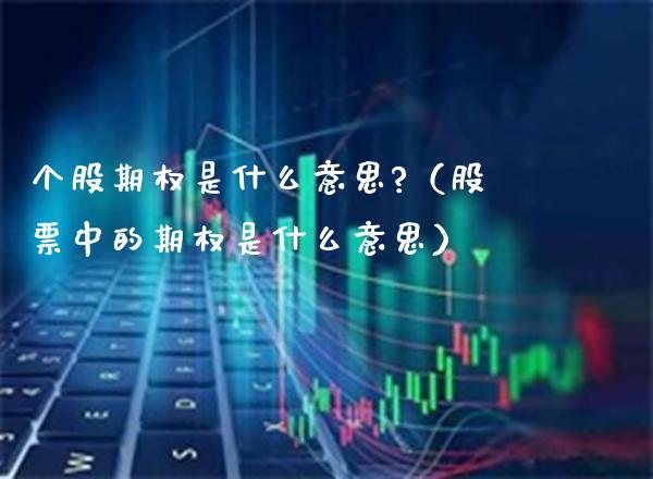 个股期权是什么意思?（股票中的期权是什么意思）