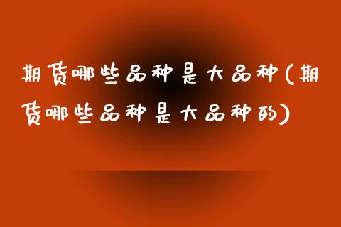 期货哪些品种是大品种(期货哪些品种是大品种的)_https://www.boyangwujin.com_道指期货_第1张