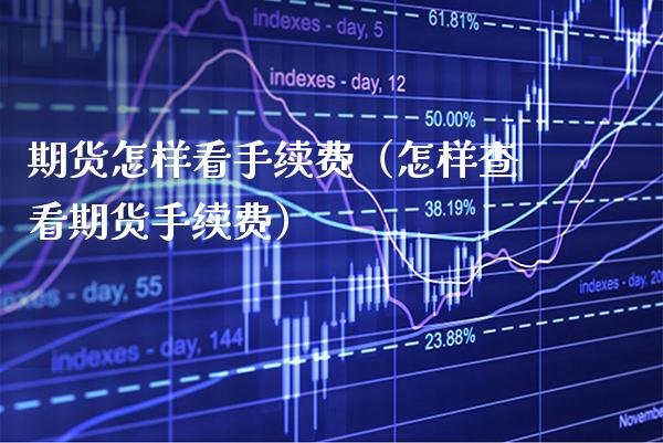 期货怎样看手续费（怎样查看期货手续费）_https://www.boyangwujin.com_期货直播间_第1张
