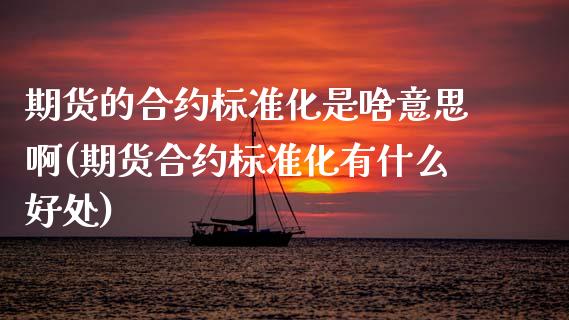期货的合约标准化是啥意思啊(期货合约标准化有什么好处)_https://www.boyangwujin.com_期货直播间_第1张