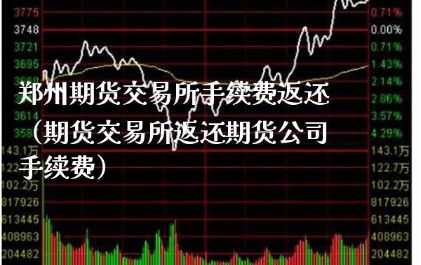 郑州期货交易所手续费返还（期货交易所返还期货公司手续费）