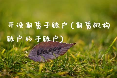开设期货子账户(期货机构账户的子账户)