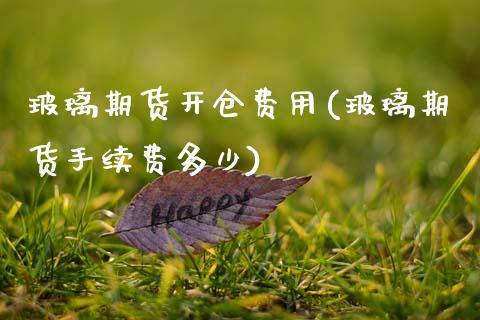 玻璃期货开仓费用(玻璃期货手续费多少)_https://www.boyangwujin.com_道指期货_第1张