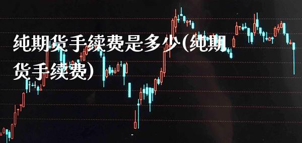 纯期货手续费是多少(纯期货手续费)_https://www.boyangwujin.com_期货直播间_第1张