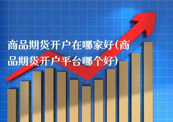 商品期货开户在哪家好(商品期货开户平台哪个好)_https://www.boyangwujin.com_期货直播间_第1张