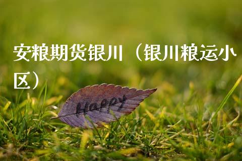 安粮期货银川（银川粮运小区）_https://www.boyangwujin.com_期货直播间_第1张