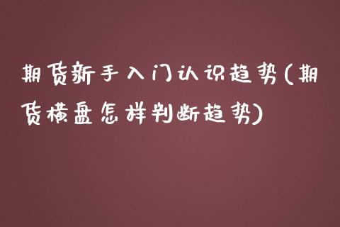 期货新手入门认识趋势(期货横盘怎样判断趋势)_https://www.boyangwujin.com_恒生指数_第1张