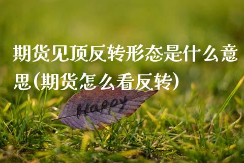 期货见顶反转形态是什么意思(期货怎么看反转)