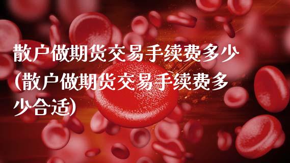 散户做期货交易手续费多少(散户做期货交易手续费多少合适)_https://www.boyangwujin.com_期货科普_第1张