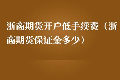浙商期货开户低手续费（浙商期货保证金多少）