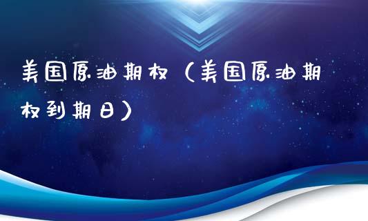 美国原油期权（美国原油期权到期日）_https://www.boyangwujin.com_期货直播间_第1张