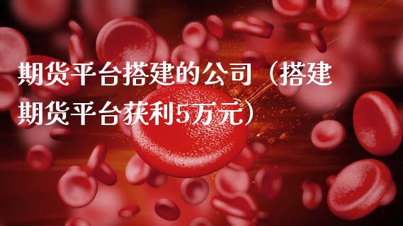 期货平台搭建的公司（搭建期货平台获利5万元）