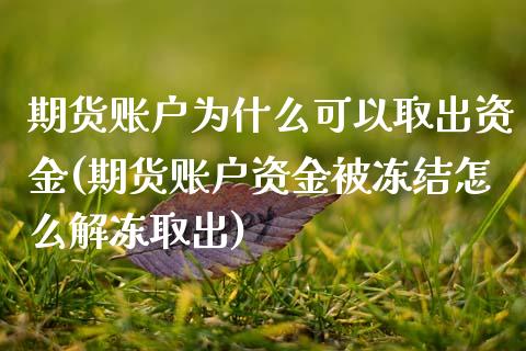 期货账户为什么可以取出资金(期货账户资金被冻结怎么解冻取出)