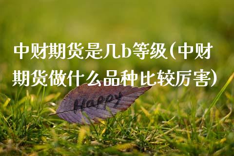 中财期货是几b等级(中财期货做什么品种比较厉害)_https://www.boyangwujin.com_期货开户_第1张
