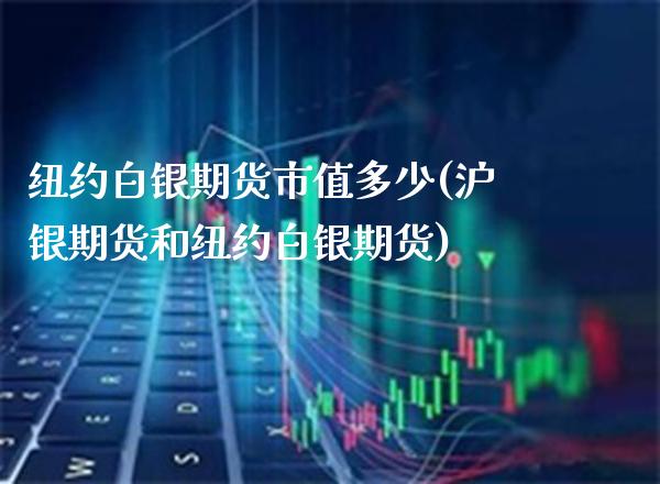 纽约白银期货市值多少(沪银期货和纽约白银期货)_https://www.boyangwujin.com_期货科普_第1张