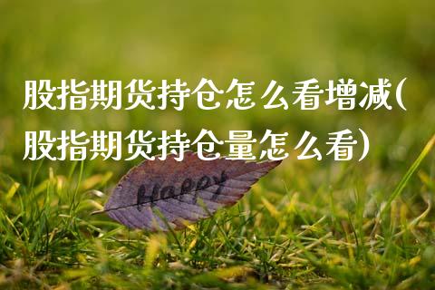 股指期货持仓怎么看增减(股指期货持仓量怎么看)_https://www.boyangwujin.com_期货直播间_第1张