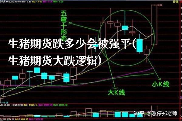 生猪期货跌多少会被强平(生猪期货大跌逻辑)