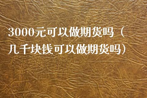 3000元可以做期货吗（几千块钱可以做期货吗）