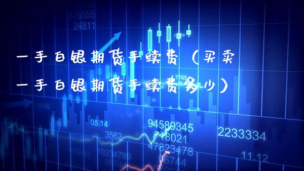 一手白银期货手续费（买卖一手白银期货手续费多少）_https://www.boyangwujin.com_期货直播间_第1张