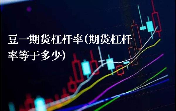 豆一期货杠杆率(期货杠杆率等于多少)_https://www.boyangwujin.com_期货开户_第1张