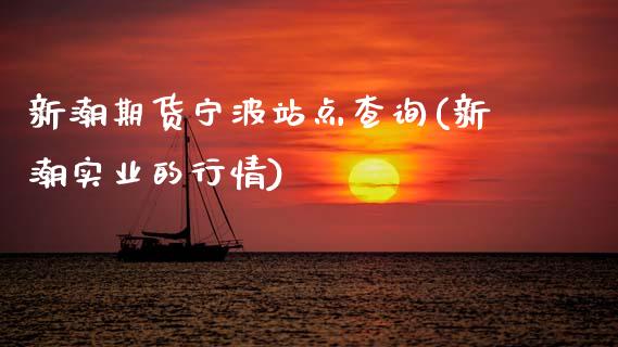 新潮期货宁波站点查询(新潮实业的行情)_https://www.boyangwujin.com_期货直播间_第1张