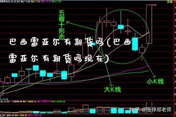 巴西雷亚尔有期货吗(巴西雷亚尔有期货吗现在)_https://www.boyangwujin.com_期货直播间_第1张