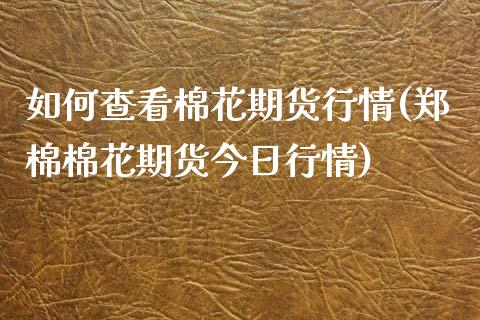 如何查看棉花期货行情(郑棉棉花期货今日行情)