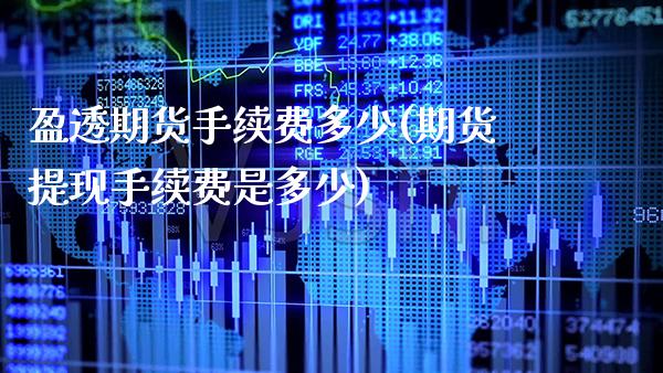 盈透期货手续费多少(期货提现手续费是多少)_https://www.boyangwujin.com_原油期货_第1张