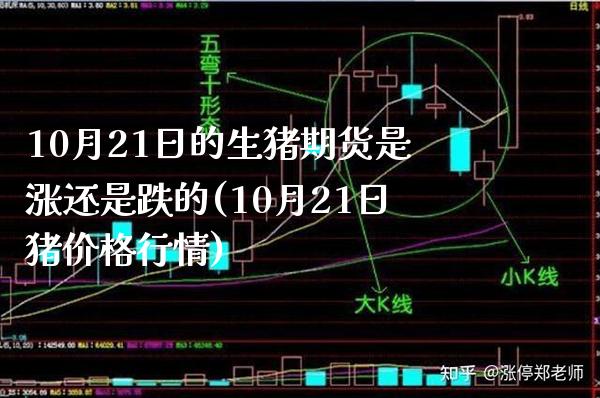 10月21日的生猪期货是涨还是跌的(10月21日猪价格行情)_https://www.boyangwujin.com_期货直播间_第1张
