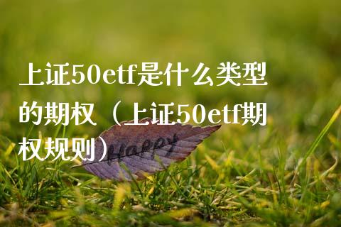 上证50etf是什么类型的期权（上证50etf期权规则）_https://www.boyangwujin.com_道指期货_第1张