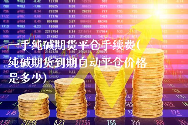 一手纯碱期货平仓手续费(纯碱期货到期自动平仓价格是多少)_https://www.boyangwujin.com_期货直播间_第1张