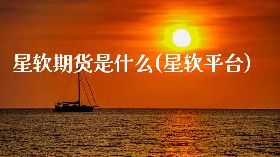 星软期货是什么(星软平台)