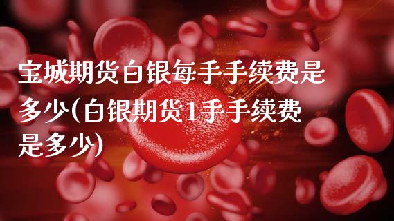 宝城期货白银每手手续费是多少(白银期货1手手续费是多少)