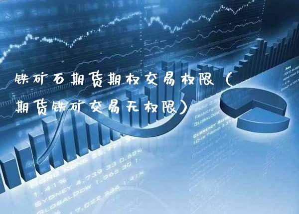 铁矿石期货期权交易权限（期货铁矿交易无权限）_https://www.boyangwujin.com_期货直播间_第1张