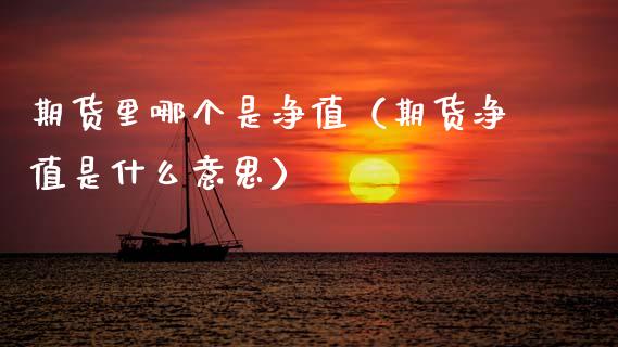 期货里哪个是净值（期货净值是什么意思）