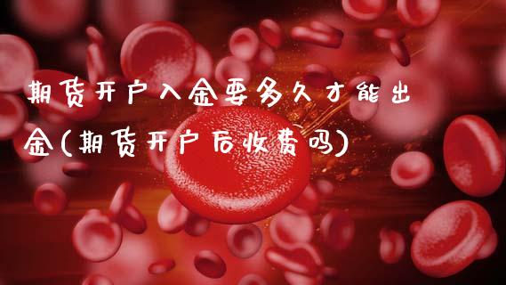 期货开户入金要多久才能出金(期货开户后收费吗)_https://www.boyangwujin.com_道指期货_第1张