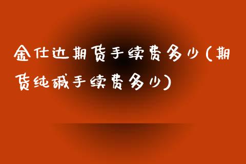 金仕达期货手续费多少(期货纯碱手续费多少)