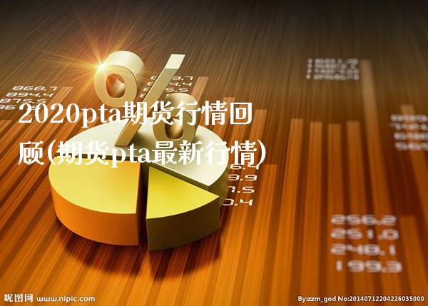 2020pta期货行情回顾(期货pta最新行情)_https://www.boyangwujin.com_恒指期货_第1张