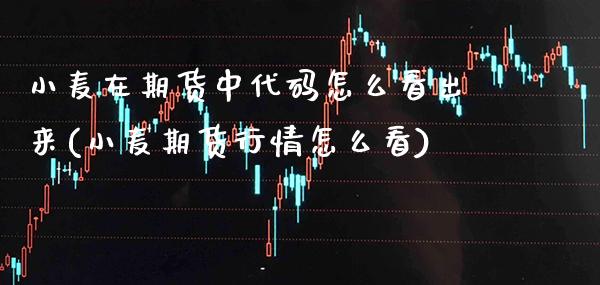 小麦在期货中代码怎么看出来(小麦期货行情怎么看)_https://www.boyangwujin.com_纳指期货_第1张