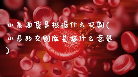 小麦期货是根据什么交割(小麦的交割库是指什么意思)