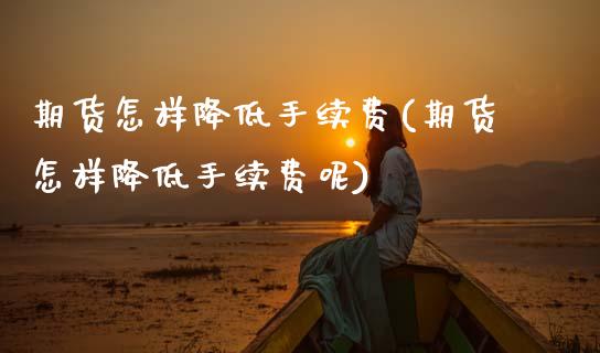 期货怎样降低手续费(期货怎样降低手续费呢)_https://www.boyangwujin.com_期货直播间_第1张