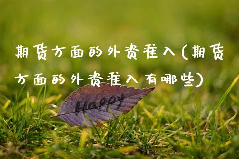 期货方面的外资准入(期货方面的外资准入有哪些)_https://www.boyangwujin.com_期货直播间_第1张