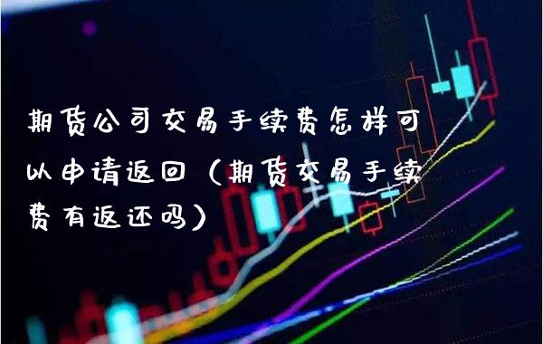 期货公司交易手续费怎样可以申请返回（期货交易手续费有返还吗）_https://www.boyangwujin.com_原油期货_第1张