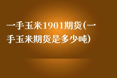 一手玉米1901期货(一手玉米期货是多少吨)