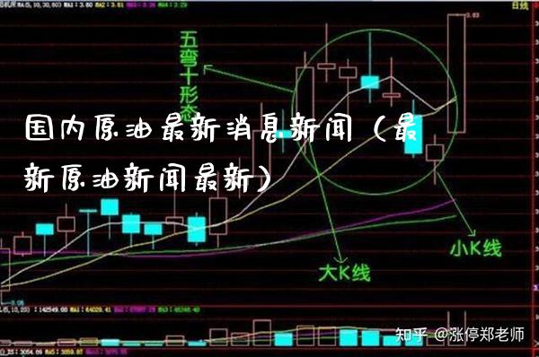 国内原油最新消息新闻（最新原油新闻最新）_https://www.boyangwujin.com_期货直播间_第1张