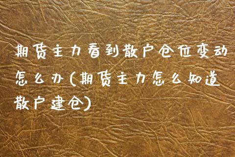 期货主力看到散户仓位变动怎么办(期货主力怎么知道散户建仓)