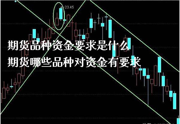 期货品种资金要求是什么 期货哪些品种对资金有要求_https://www.boyangwujin.com_纳指期货_第1张